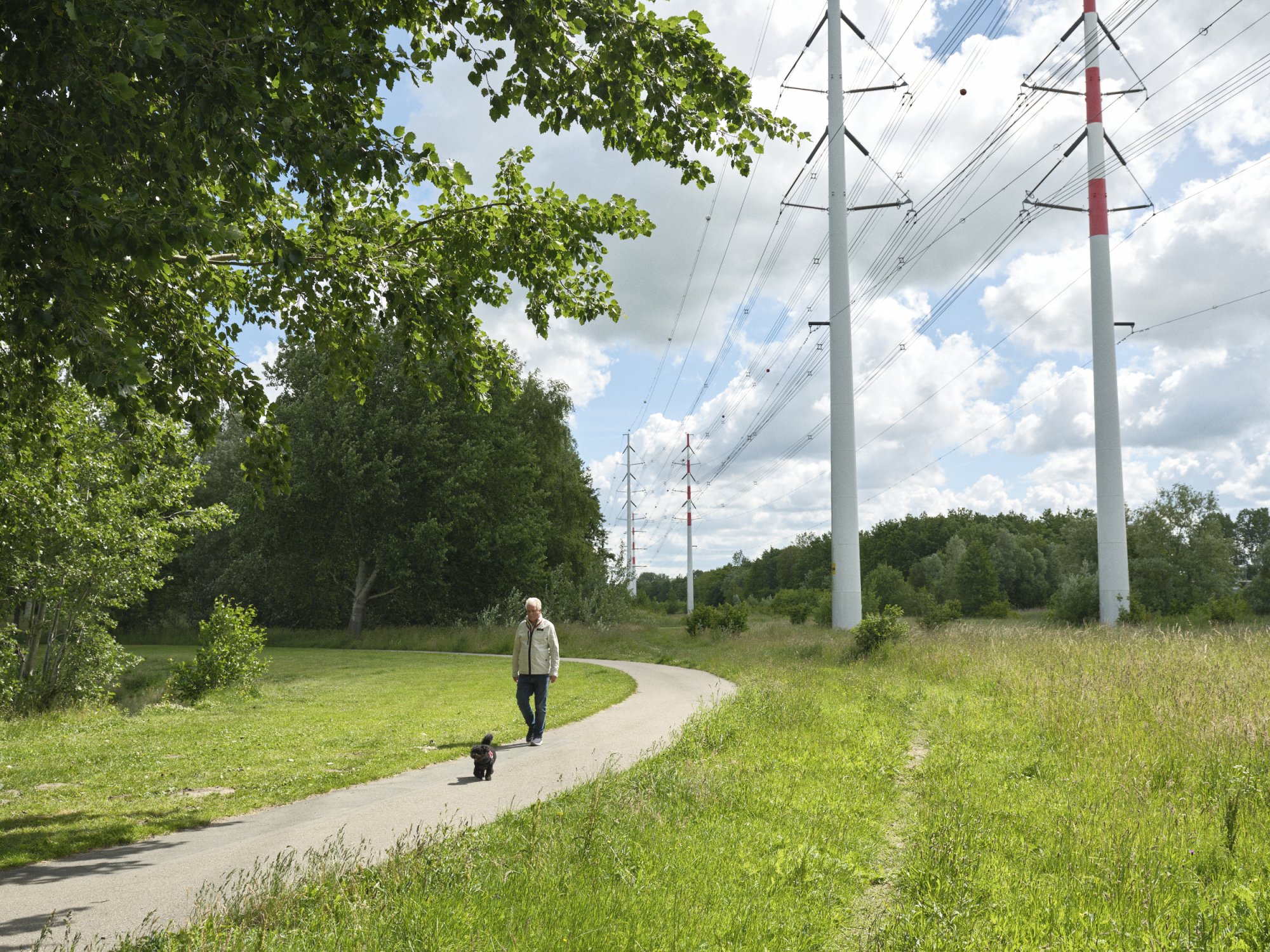 LOE: één programma voor de energietransitie